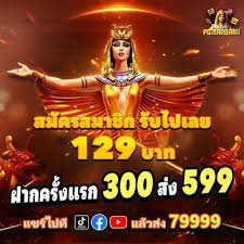 coincat VIP Bonus Cashback Sportsbook မြန်မာ ကစားသမားများအတွက် အကျိုးခံစားခွင့်များ
